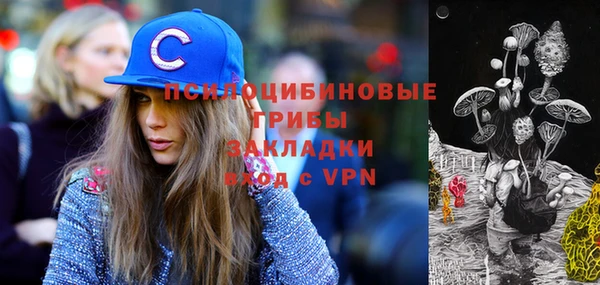 дмт Вязьма