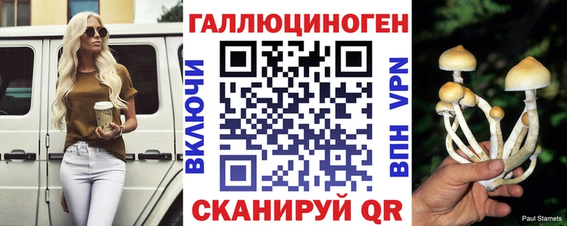 Купить  Змеиногорск  Галлюциногенные грибы Psilocybe 